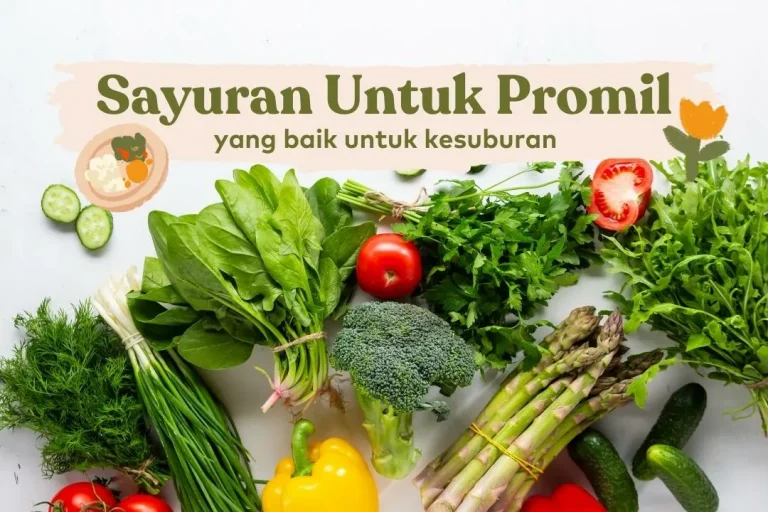 Makanan untuk promil